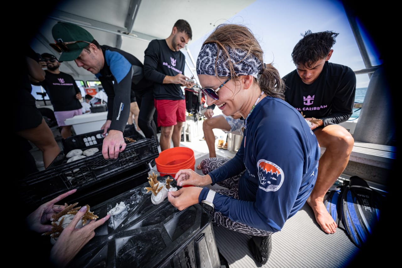 World Oceans Day (5)